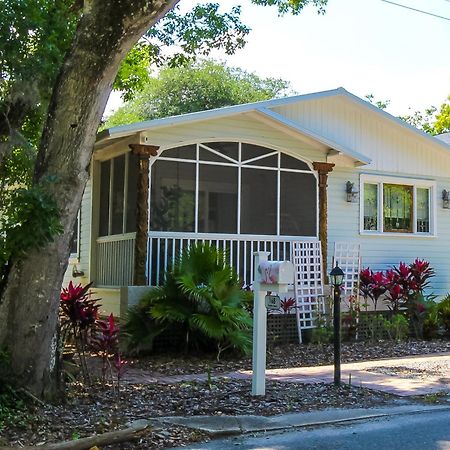 Luxurious Bohemian Bungalow In Lincolnville - Mins From Downtown! St. Augustine Eksteriør bilde